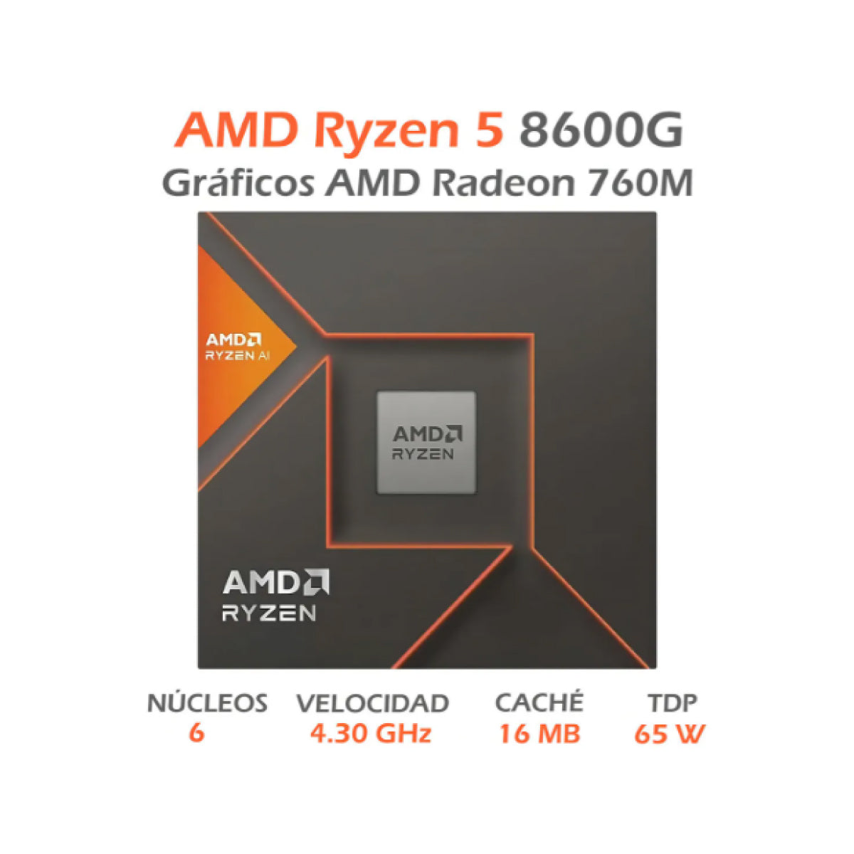 AMD Ryzen 5 8600G con Gráficos Radeon 760M