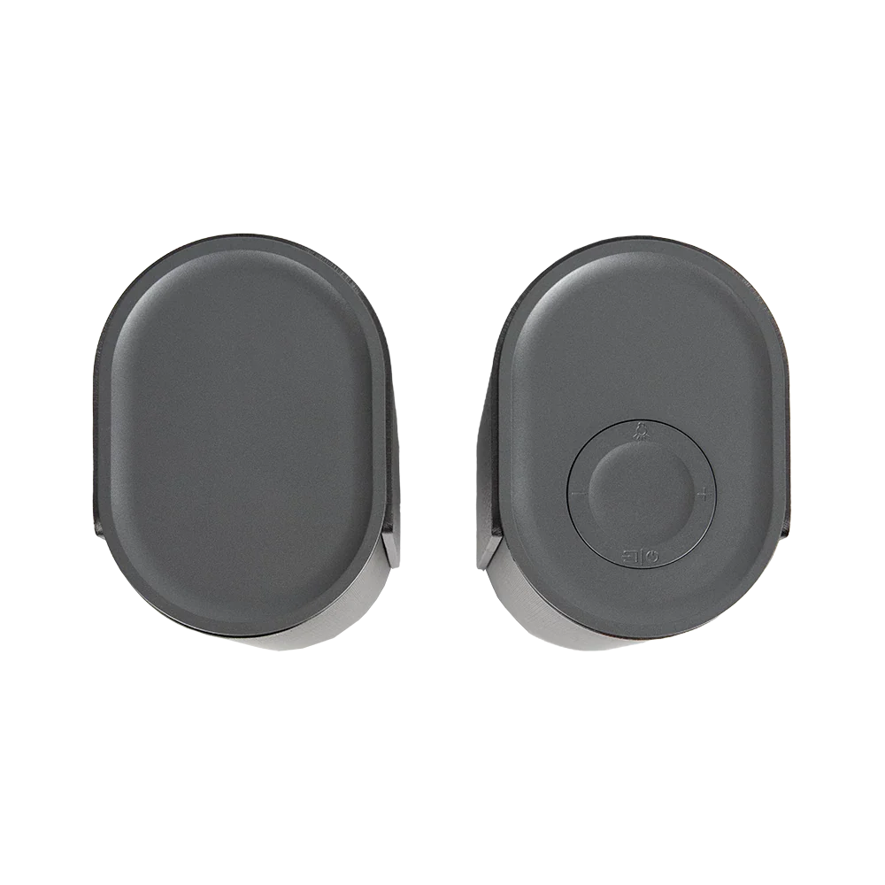 Bocinas Dynamic Exact X BS660 (inalámbricas para escritorio)